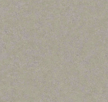 Кварцвиниловые полы Vertigo Trend / Gres 5904 MISTY HOLLOW 457.2 мм X 457.2 мм фото 1 | FLOORDEALER